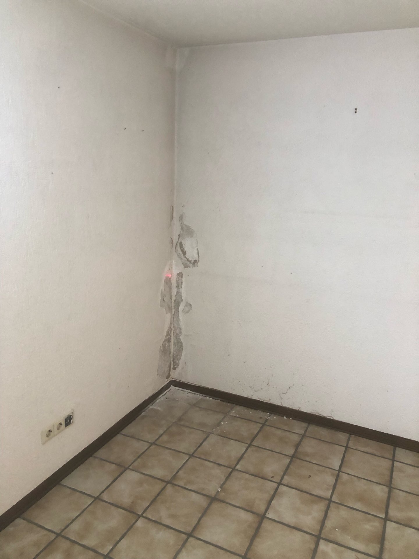 Feuchtigkeitsschaden im Wand-Boden-Anschluss eines Wohnraums mit drückender feuchtigkeit