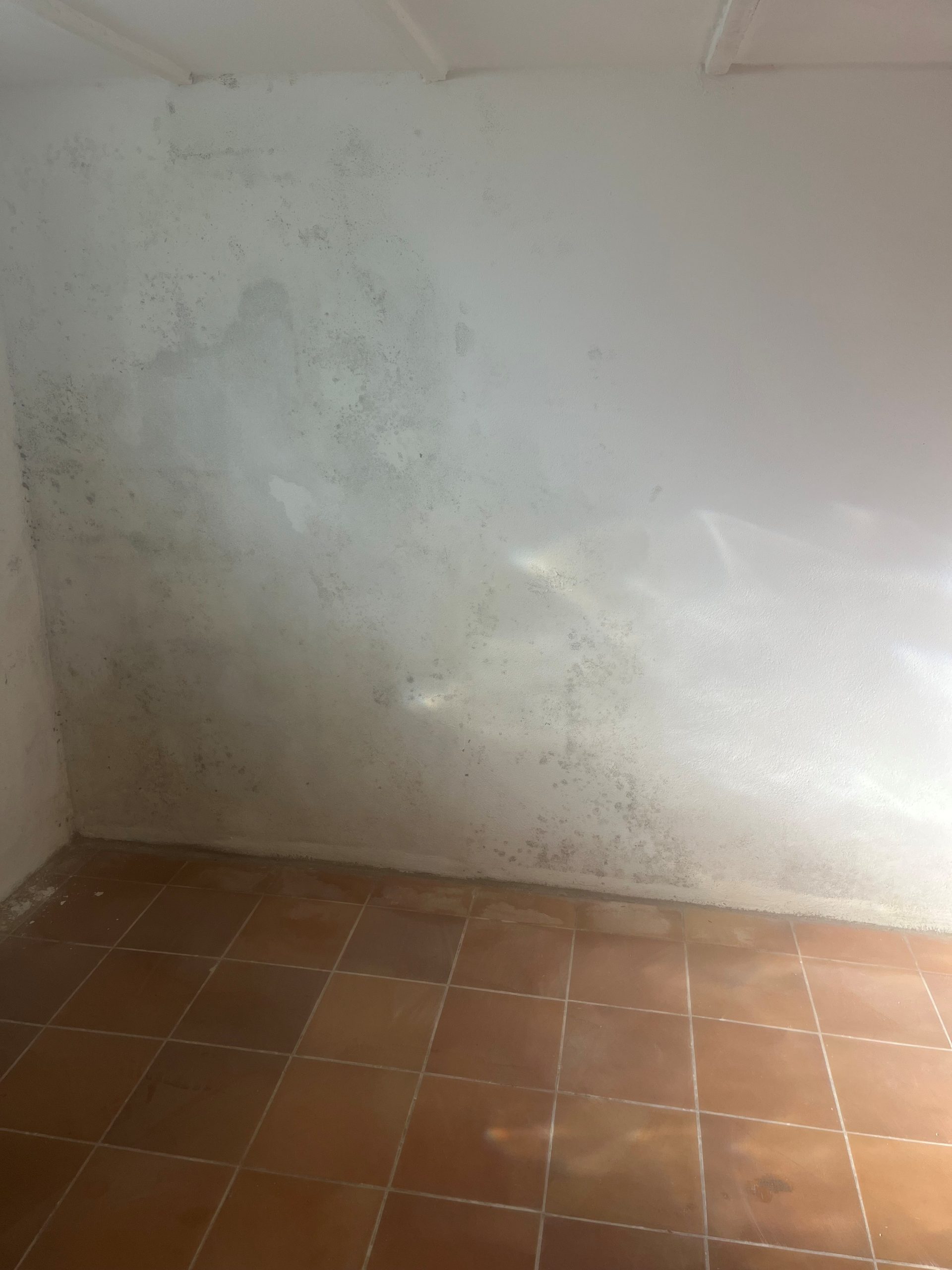 Wasser im Keller nach Starkregen – feuchte Kellerwand mit Ausblühungen in Wiesbaden, typischer Schaden im Rhein-Main-Gebiet